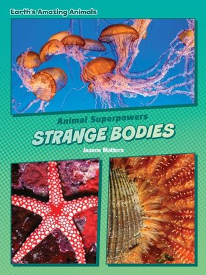 cover image of Strange Bodies